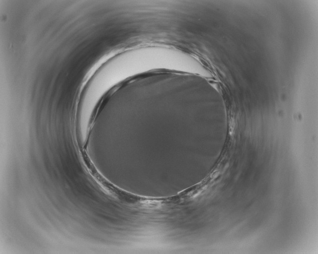 X0000087410052200705111901