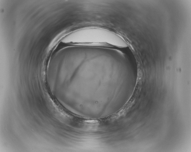 X0000087410053200705111901