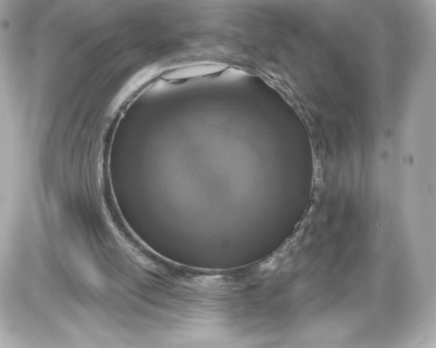 X0000087410054200705111901