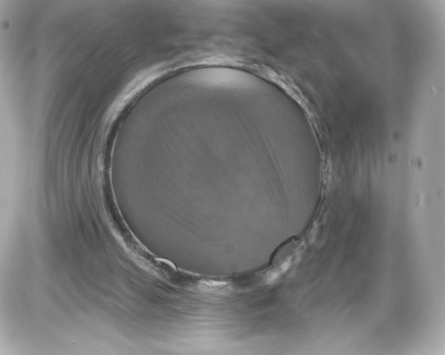 X0000087410055200705111901