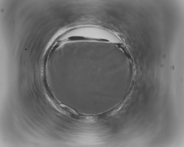 X0000087410056200705111901