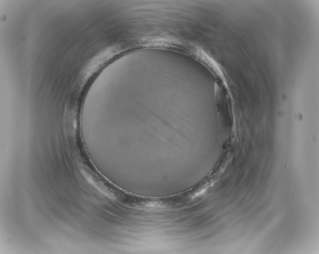 X0000087410059200705111901