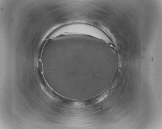 X0000087410060200705111901