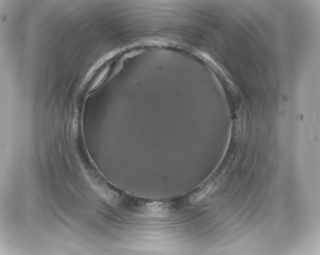 X0000087410064200705111901