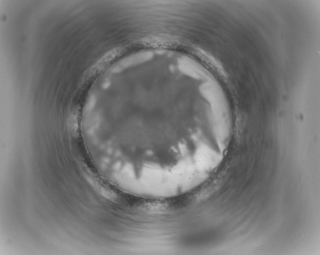 X0000087410065200705111901