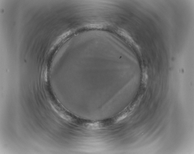 X0000087410068200705111902