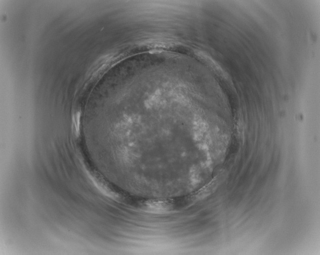 X0000087410070200705111902