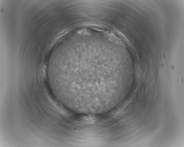 X0000087410071200705111902