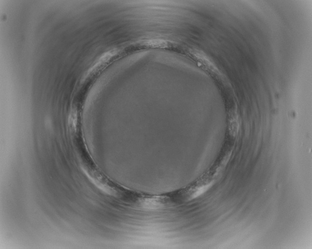 X0000087410072200705111902