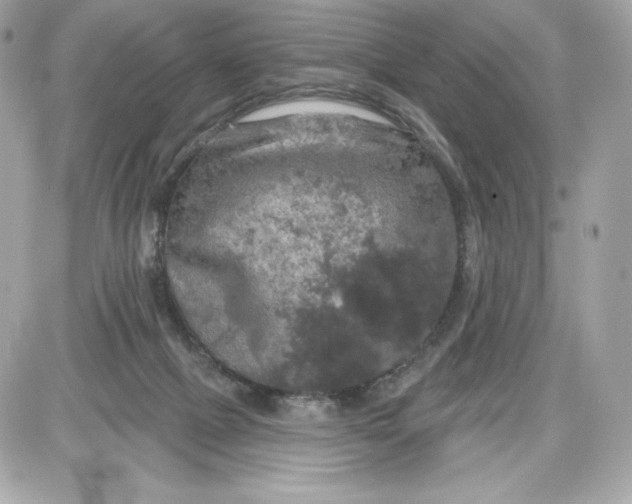 X0000087410073200705111902