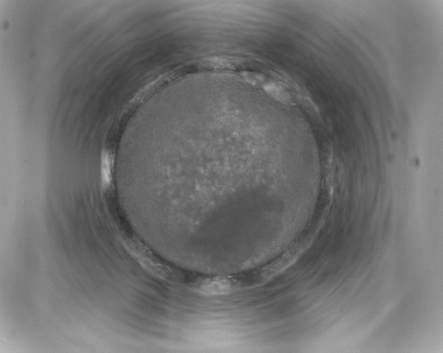 X0000087410075200705111902