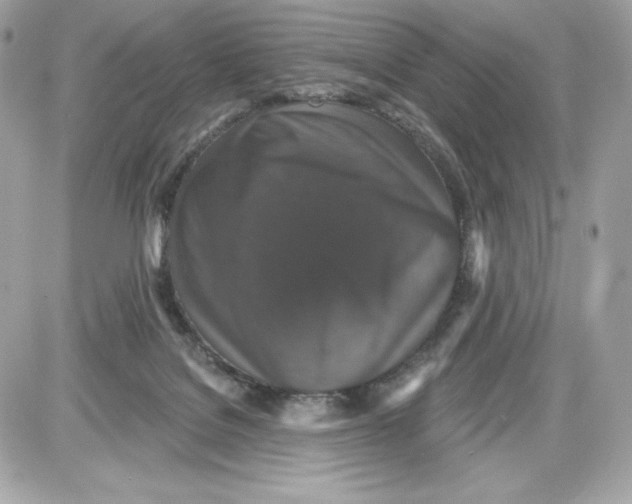 X0000087410076200705111902