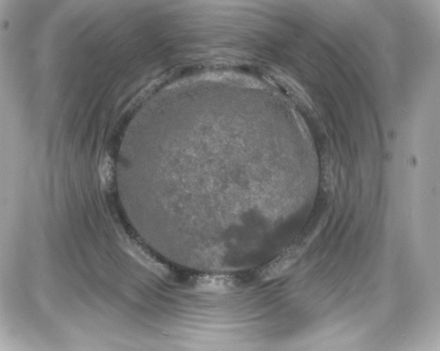 X0000087410077200705111902