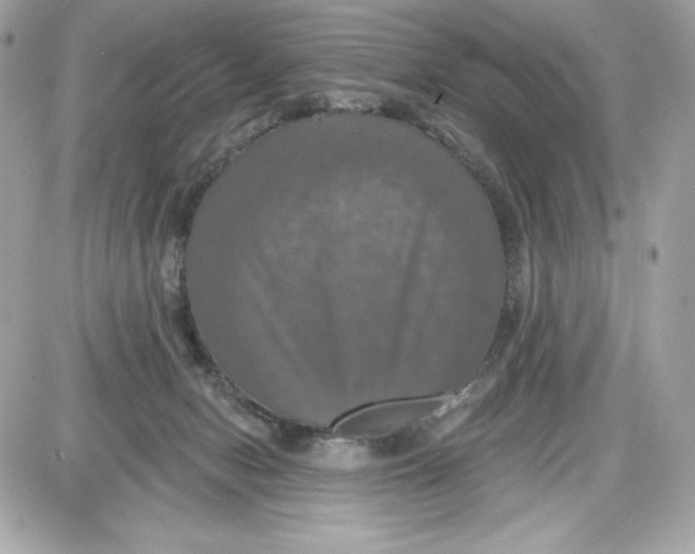 X0000087410078200705111902