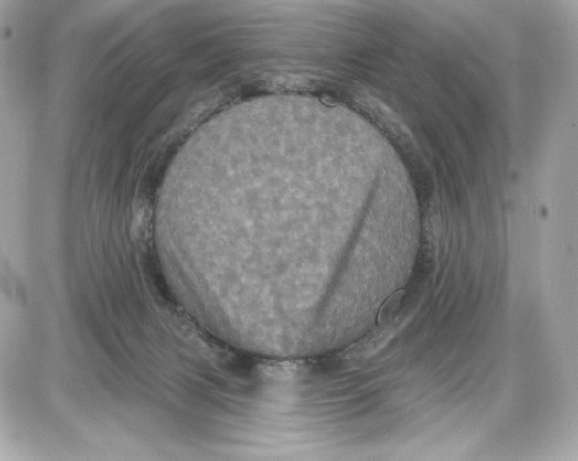 X0000087410079200705111902