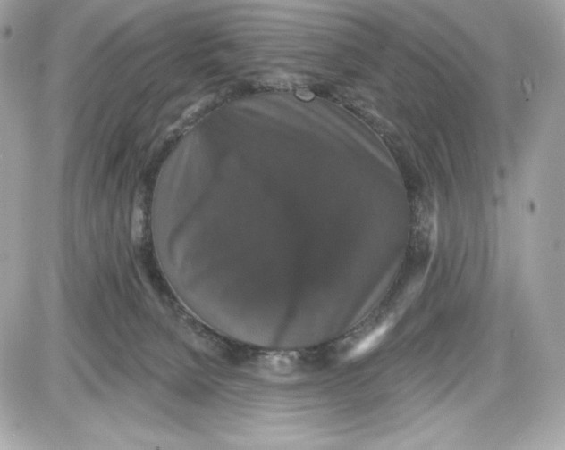 X0000087410080200705111902