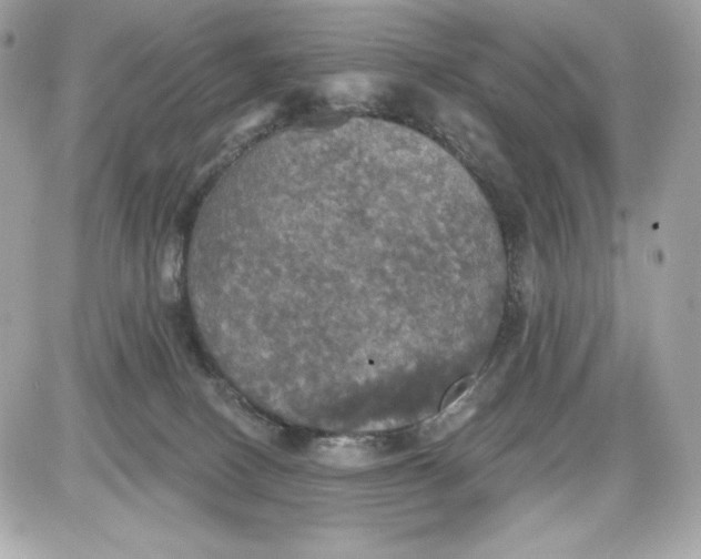 X0000087410082200705111902