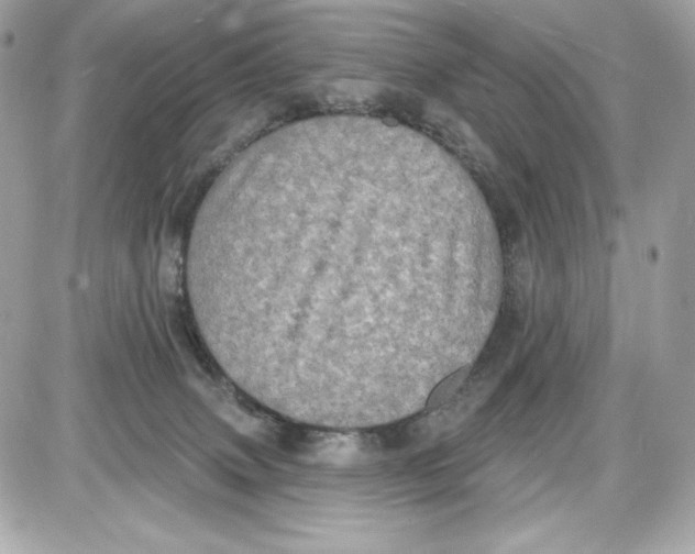 X0000087410083200705111902