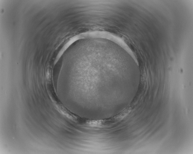 X0000087410084200705111902