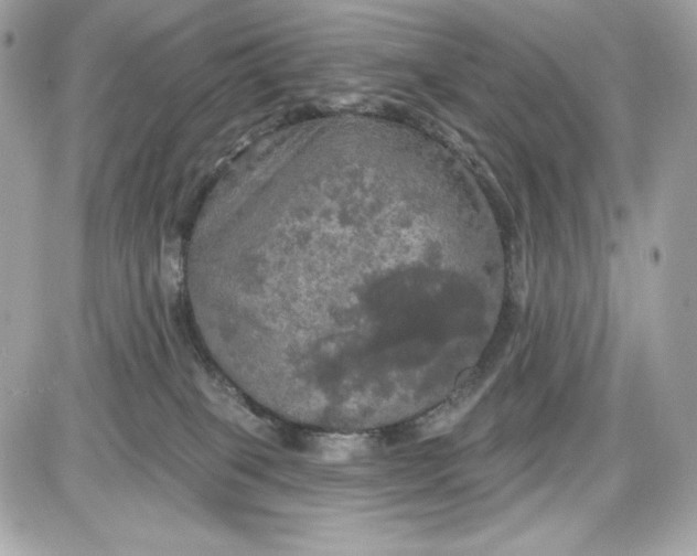 X0000087410085200705111902