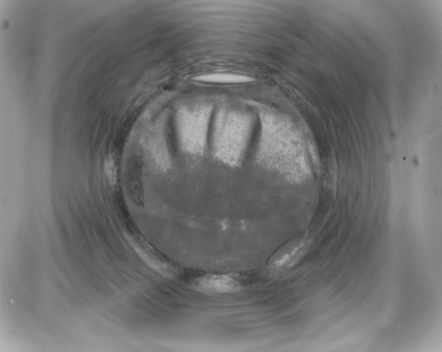 X0000087410086200705111902