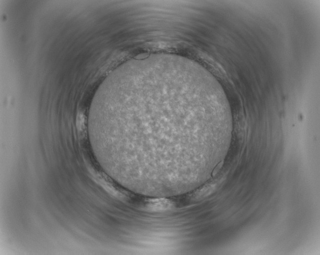 X0000087410087200705111902