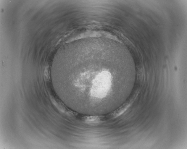 X0000087410088200705111902