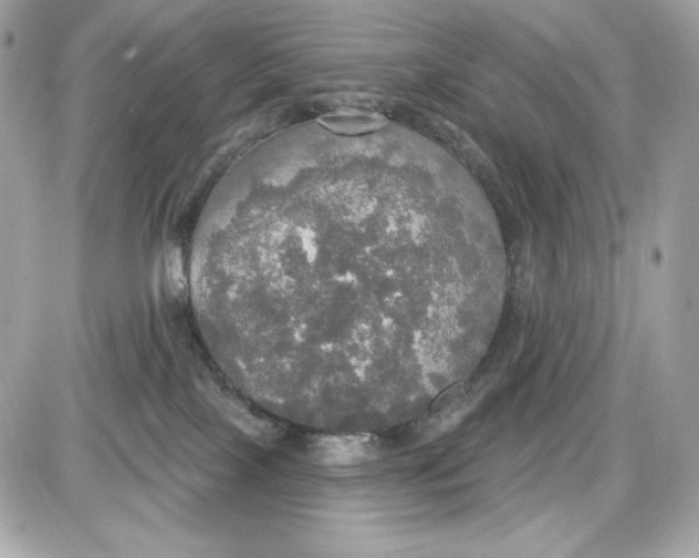 X0000087410089200705111902