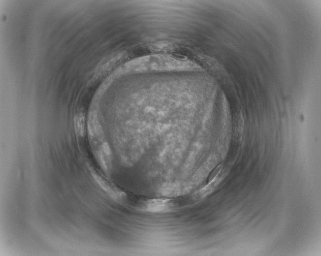 X0000087410090200705111902