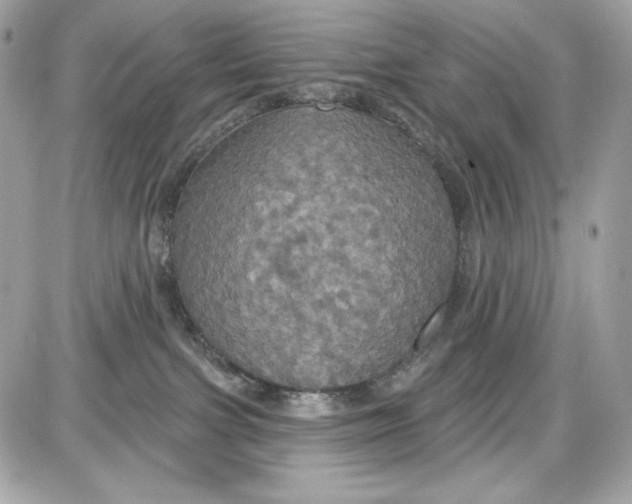 X0000087410091200705111902