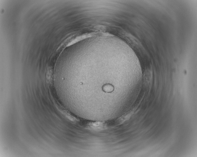 X0000087410092200705111902