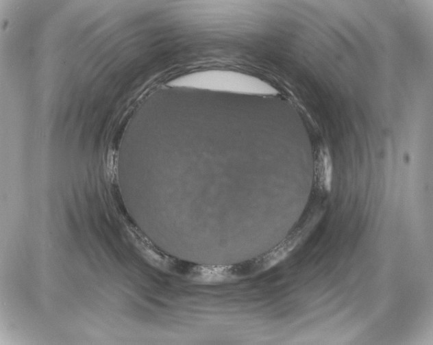 X0000087410093200705111902