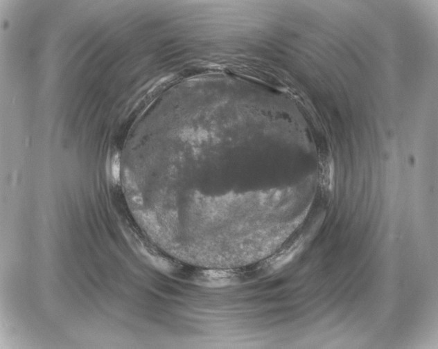 X0000087410095200705111902