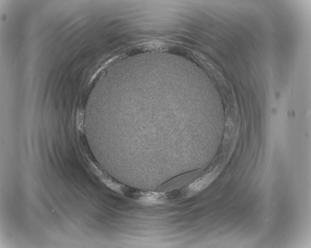 X0000087410096200705111902