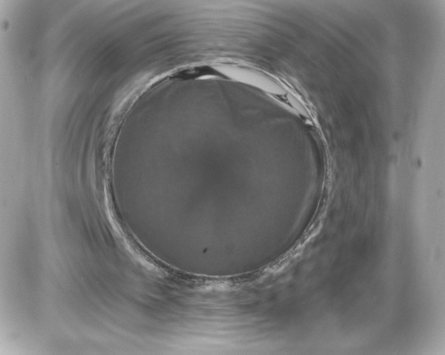 X0000087410097200705111901