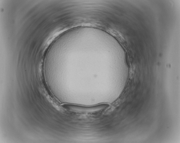 X0000087410098200705111901