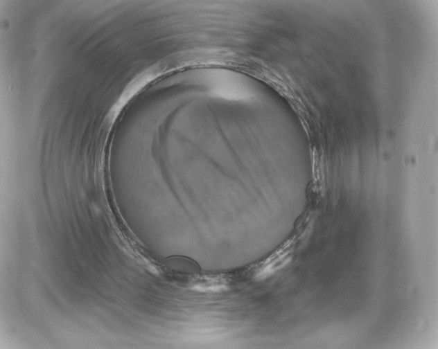 X0000087410099200705111901