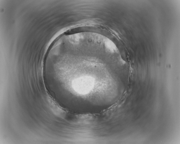 X0000087410100200705111901