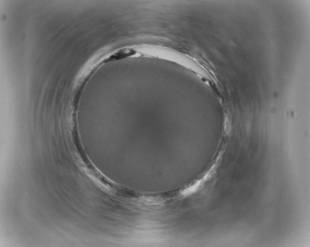 X0000087410101200705111901