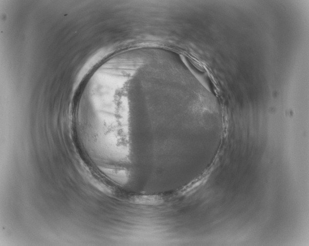 X0000087410102200705111901