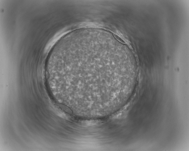 X0000087410103200705111901