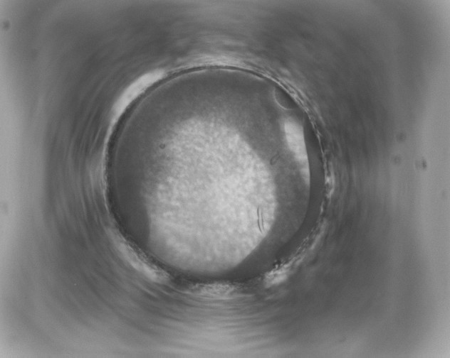 X0000087410104200705111901