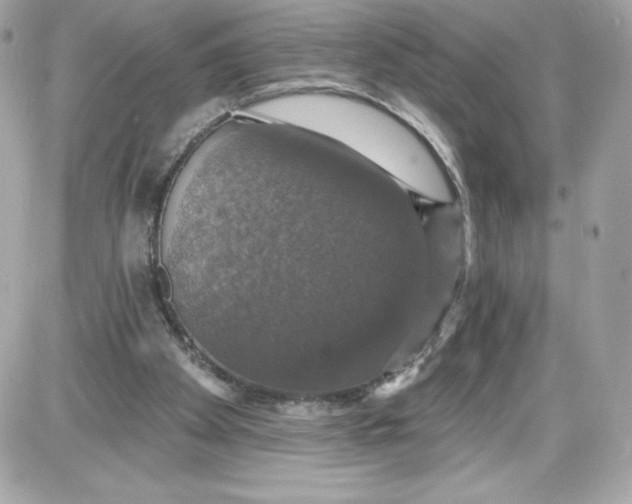 X0000087410105200705111901