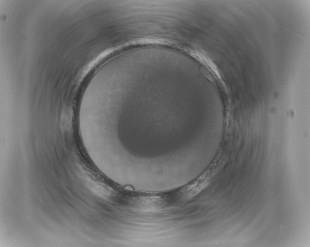 X0000087410108200705111901