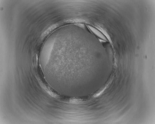 X0000087410109200705111901