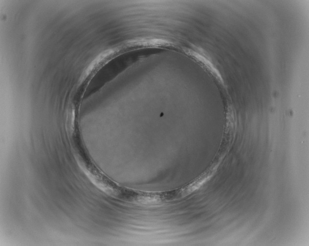 X0000087410110200705111901