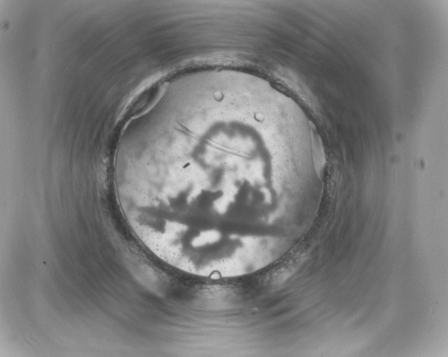 X0000087410111200705111901