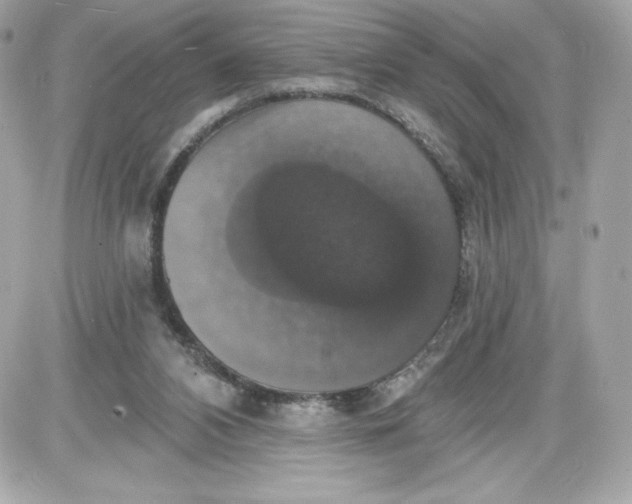 X0000087410112200705111901