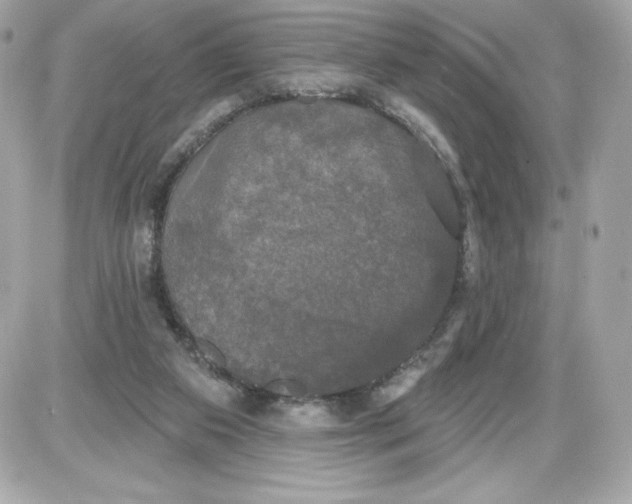 X0000087410113200705111901