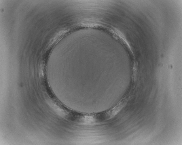 X0000087410114200705111901